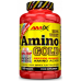AmixPrо Amino Whey Gold - 360 таб