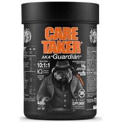 Caretaker BCAA - 480 гр - апельсин