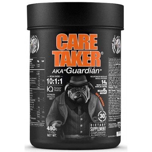 Caretaker BCAA - 480 гр - апельсин