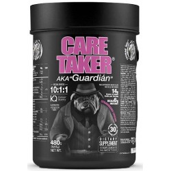 Caretaker BCAA - 480 гр - клубничный крем