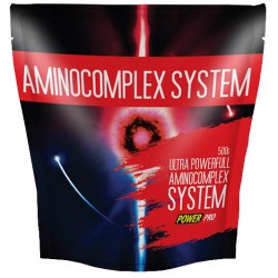 AminoComplex System Power Pro (500 гр.)