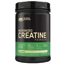Creatine powder Optimum Nutrition (1200 гр.)