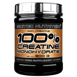 100% Creatine 300 г