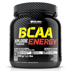 BCAA Energy 500 g - фруктовый пунш