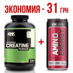 Creatine Powder 300 г + Amino Energy RTD 330  ml