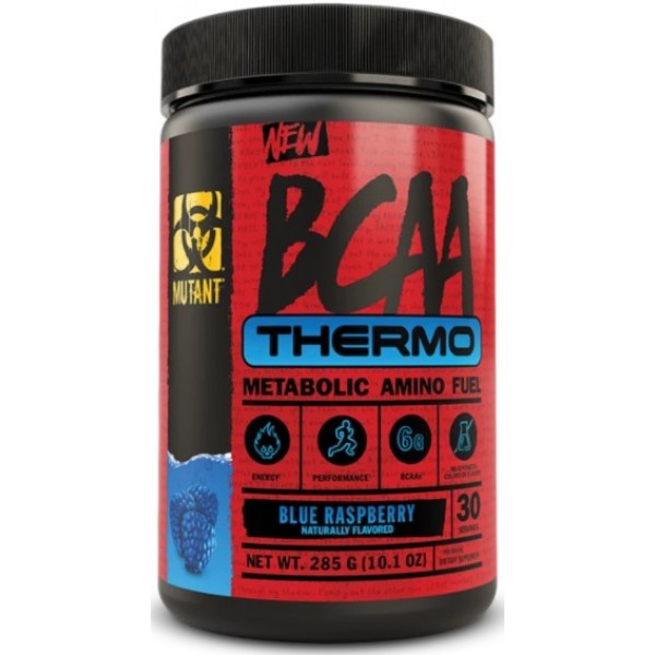 BCAA Thermo 258 г